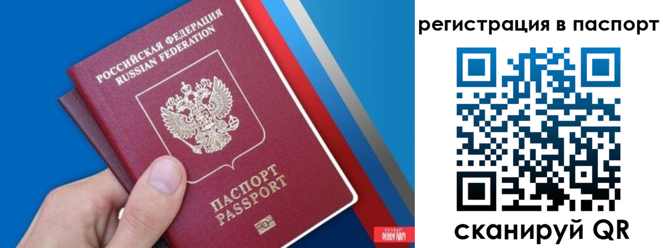 прописка для школы в Кингисеппе